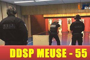 DDSP 55