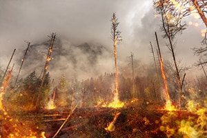 INCENDIE À LA TESTE DE BUCH