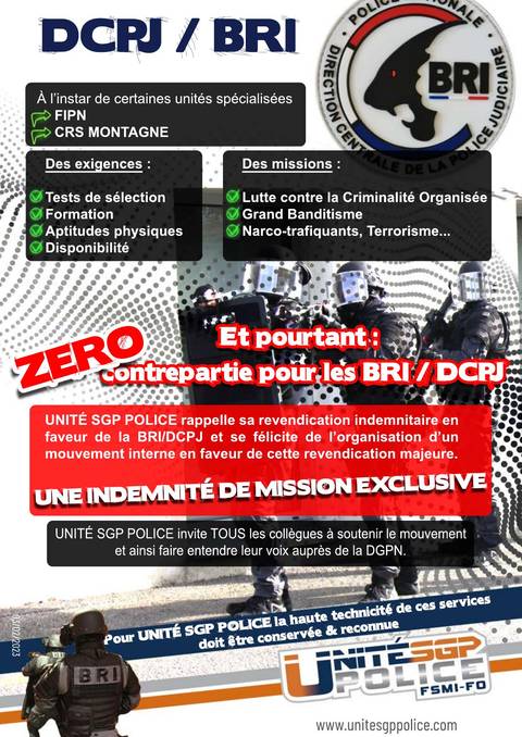 Aperçu — DCPJ / BRI