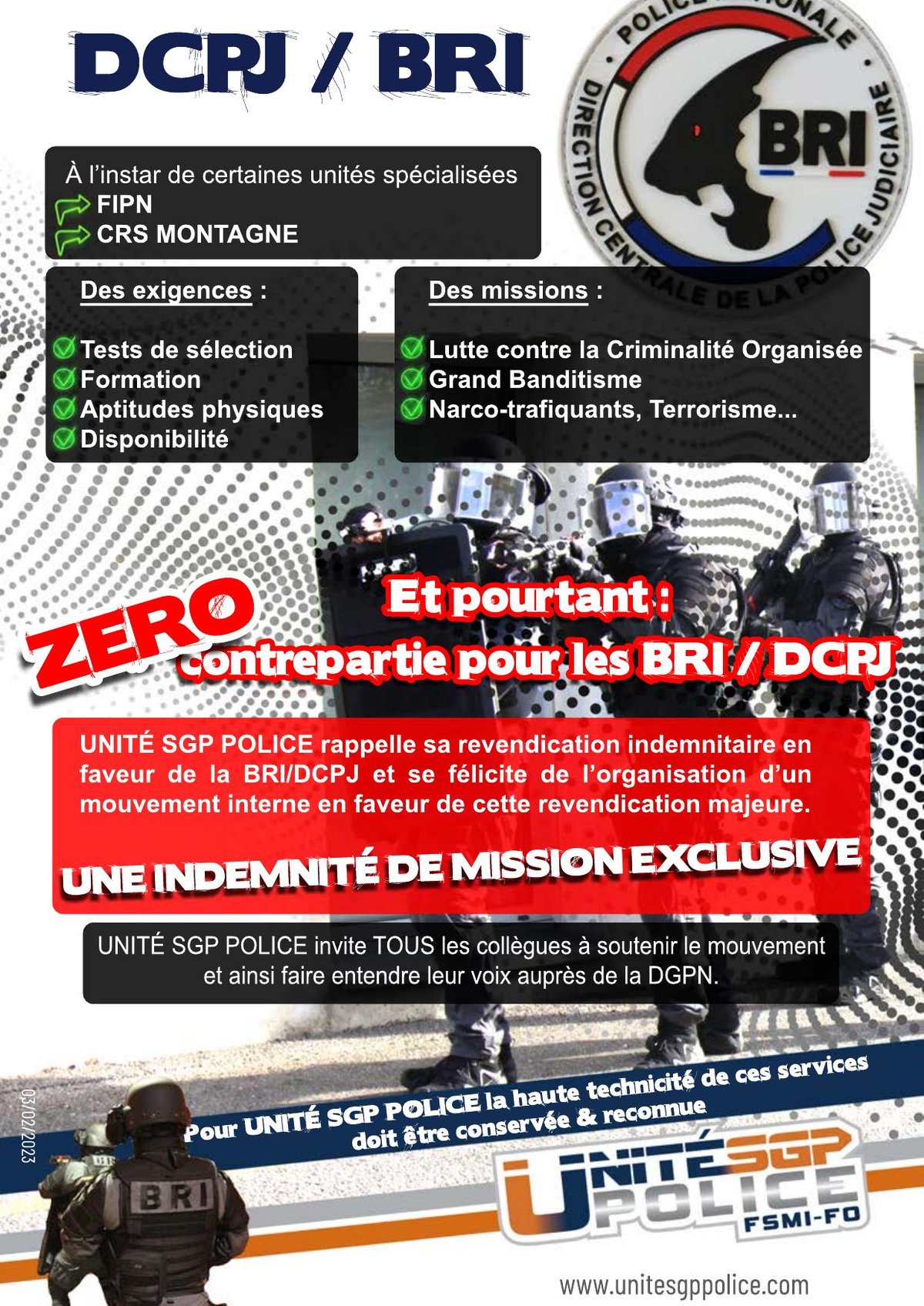 DCPJ / BRI