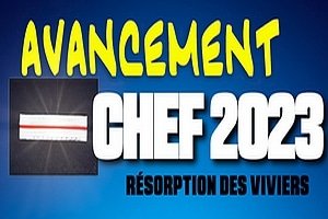 Avancement Chef 2023 : Résorption des viviers