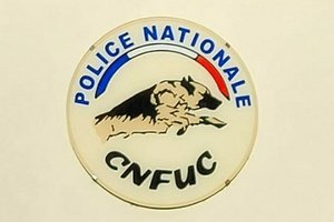 ENSP-CNFUC-CNTIS : Des nécessités avérées