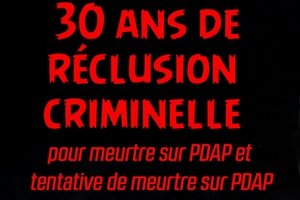 30 ans de réclusion criminelle