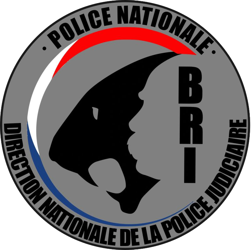 CSA RPN - BRI DNPJ
