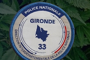 33 : saisie de cannabis !