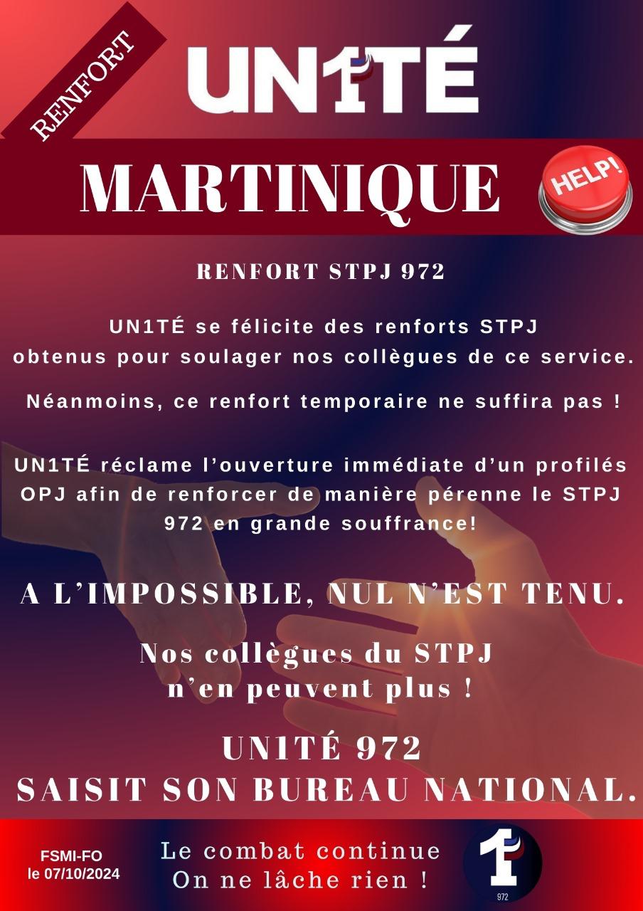 Renforts STPJ 972