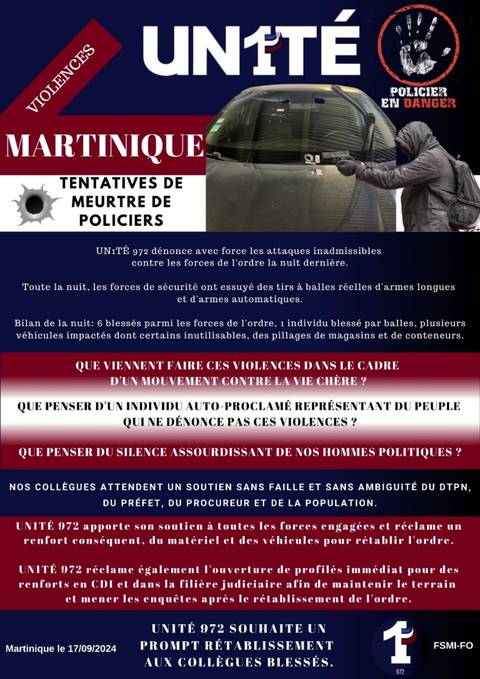 Aperçu — Tentatives de meurtre de policiers - Martinique