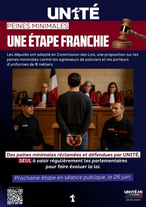 Aperçu — Peines minimales - Une étape franchie