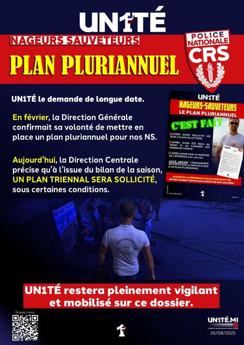 Aperçu — Nageurs Sauveteurs - Plan pluriannuel