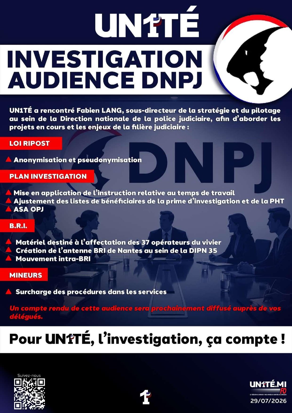 Investigation - Audience DNPJ