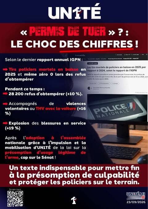 Aperçu — « PERMIS DE TUER » ? : LE CHOC DES CHIFFRES !