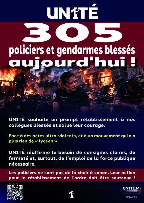 Aperçu — 305 policiers et gendarmes blessés aujourd'hui !